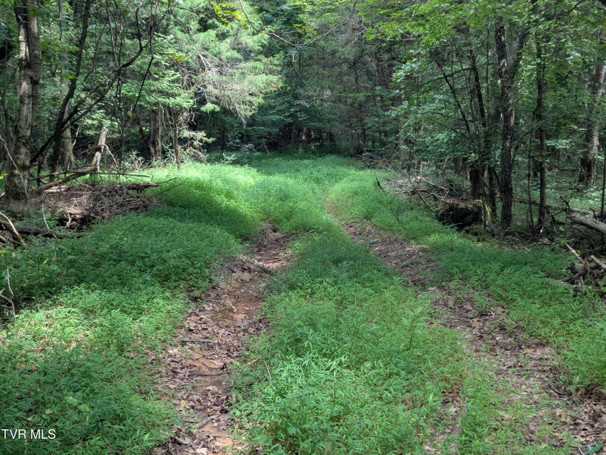 Photo #3: 412 Haw Ridge E. Road