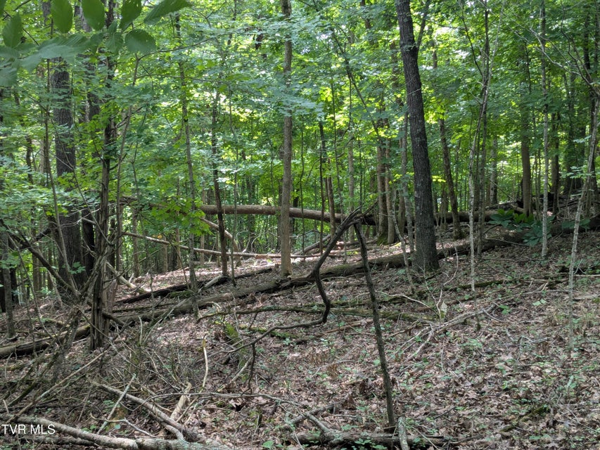 Photo #6: 412 Haw Ridge E. Road