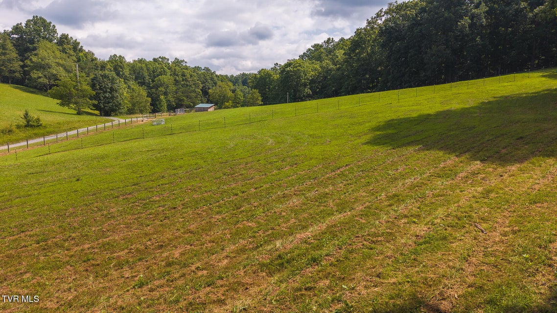 Photo #29: 164 Price Road