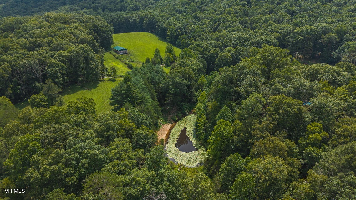 Photo #33: 164 Price Road