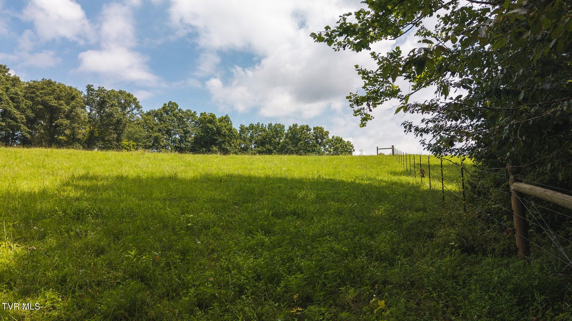 Photo #35: 164 Price Road