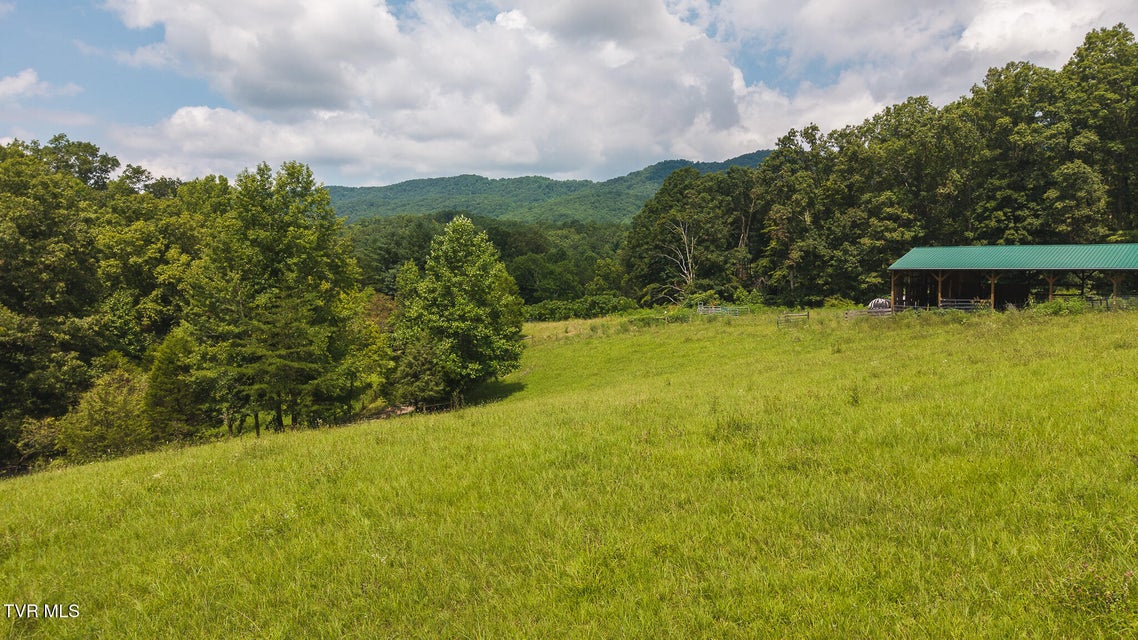 Photo #37: 164 Price Road