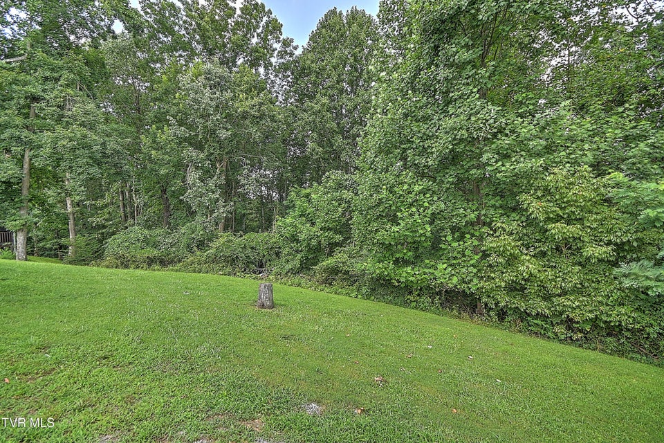 Photo #55: 10187 Oakwinds Circle