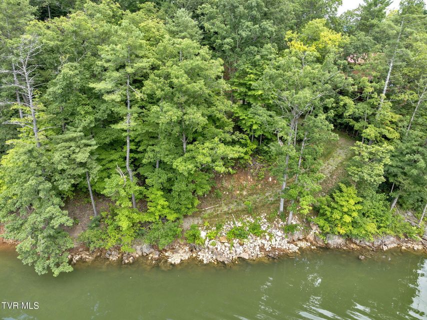 Photo #4: 139 Lakeridge Lane
