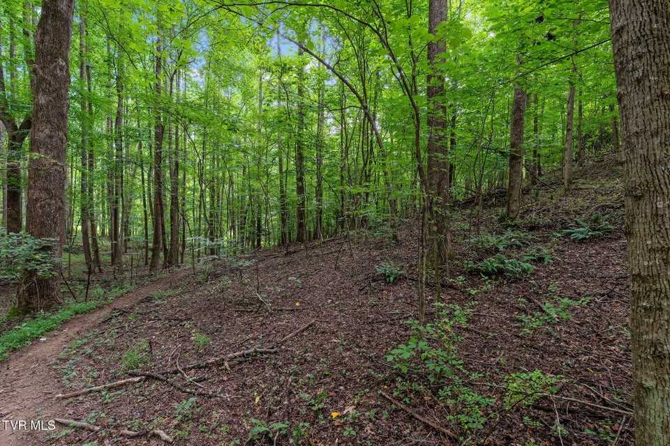 Photo #32: 1523 Whispering Pines Road