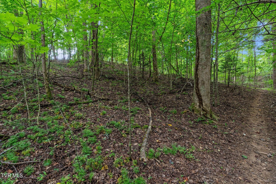 Photo #33: 1523 Whispering Pines Road
