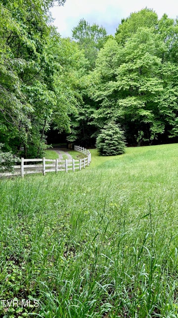 Photo #34: 736 Ragan Road