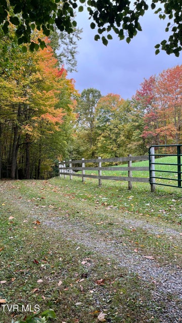 Photo #42: 736 Ragan Road