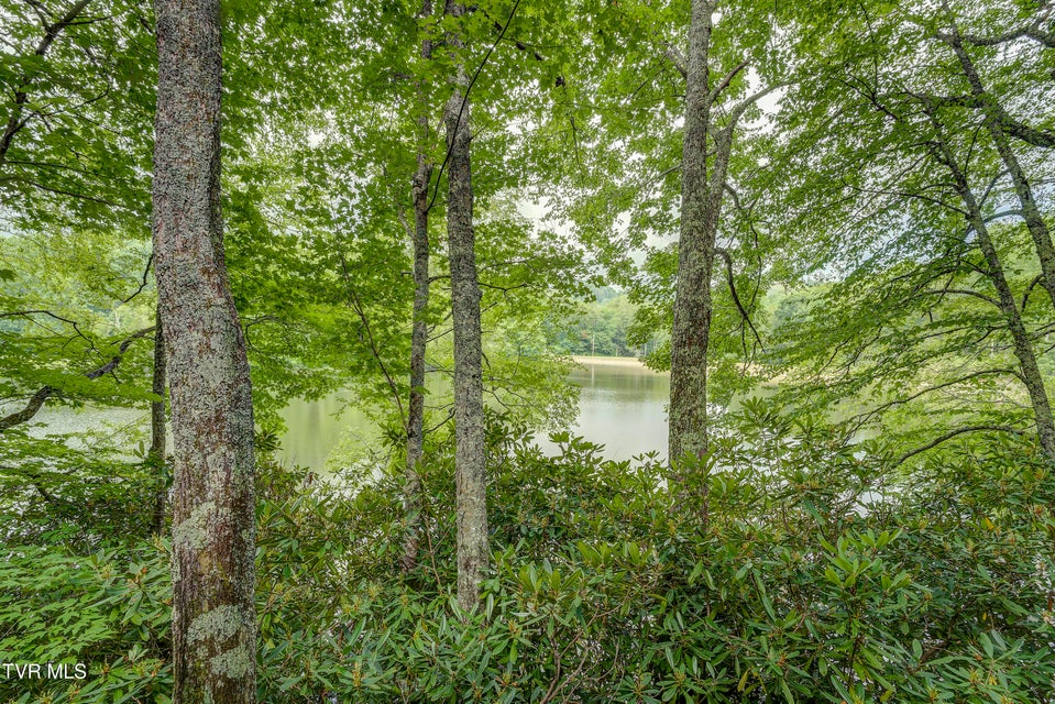 Photo #54: 144 Ripshin Lake Road