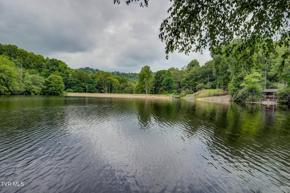 Photo #58: 144 Ripshin Lake Road