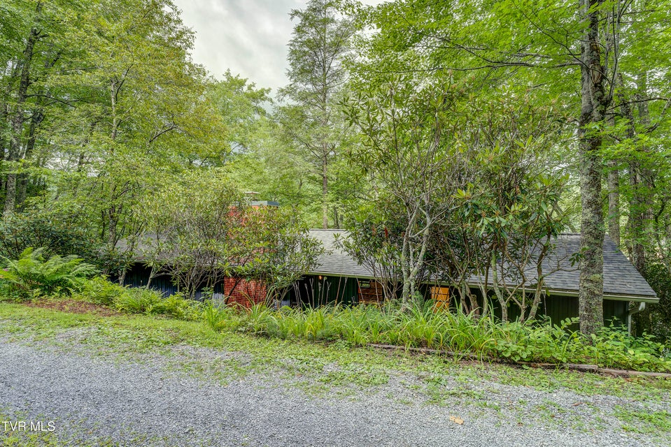 Photo #62: 144 Ripshin Lake Road