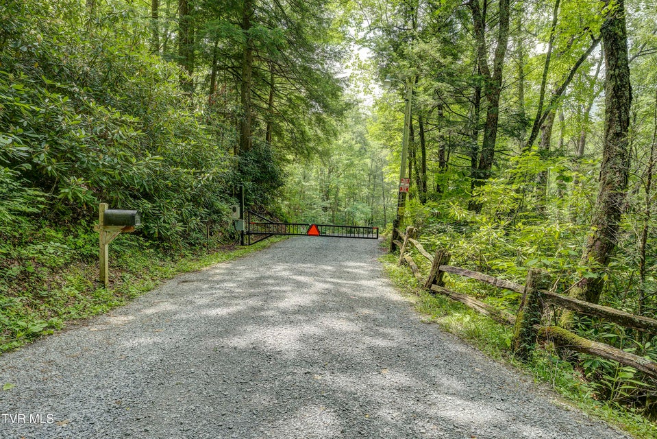 Photo #66: 144 Ripshin Lake Road