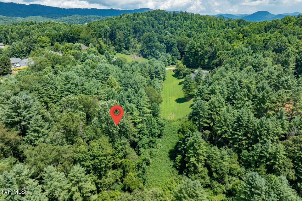 Photo #46: Lot 9 Laurelwood Lane