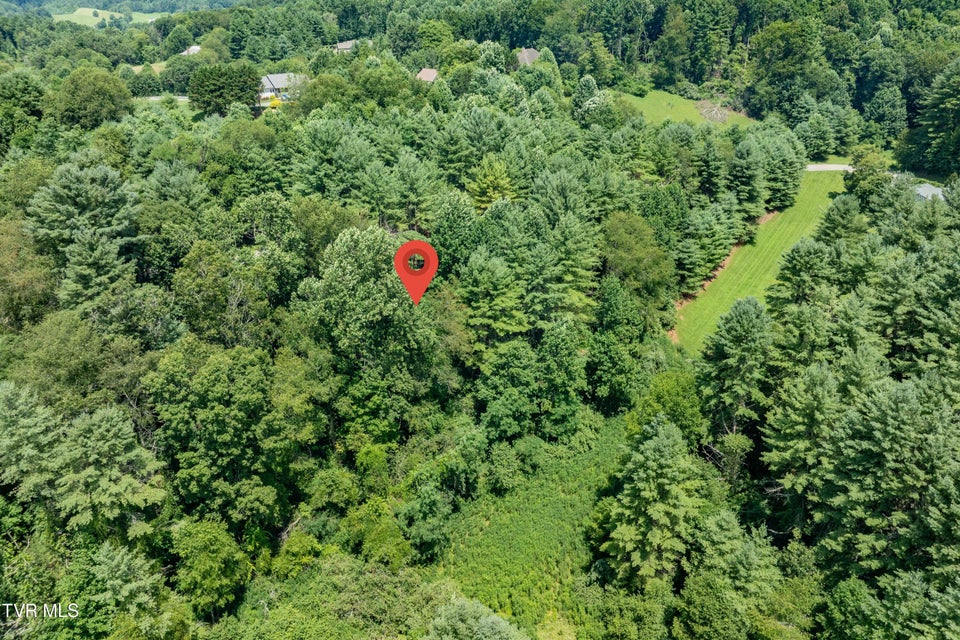 Photo #48: Lot 9 Laurelwood Lane
