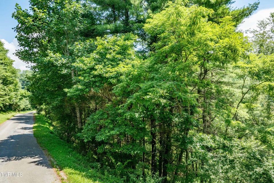 Photo #53: Lot 9 Laurelwood Lane