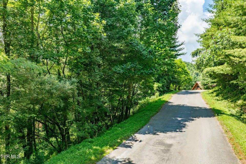 Photo #54: Lot 9 Laurelwood Lane
