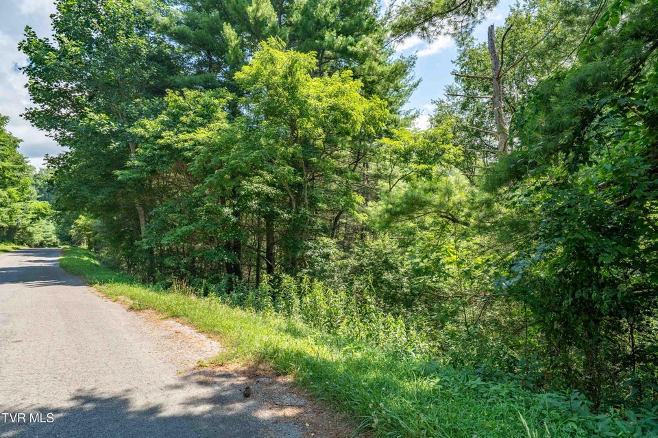 Photo #55: Lot 9 Laurelwood Lane