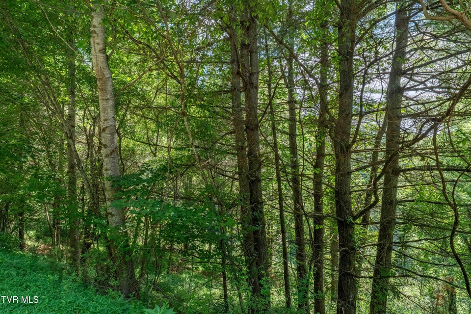 Photo #56: Lot 9 Laurelwood Lane