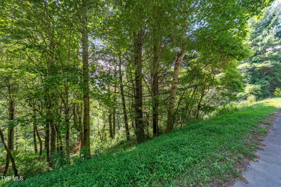 Photo #57: Lot 9 Laurelwood Lane