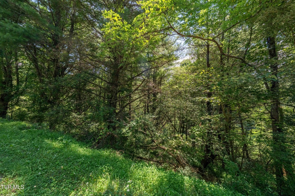 Photo #58: Lot 9 Laurelwood Lane