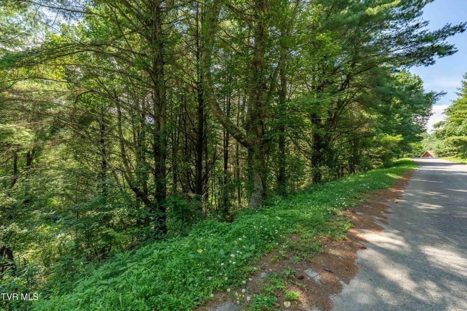Photo #59: Lot 9 Laurelwood Lane