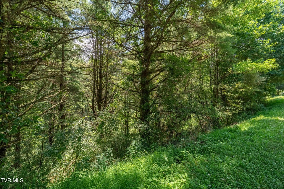 Photo #60: Lot 9 Laurelwood Lane