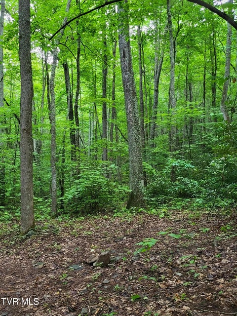 Photo #5: Tbd Dry Branch Road
