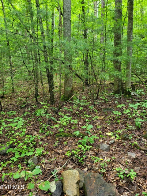 Photo #4: Tbd Dry Branch Road