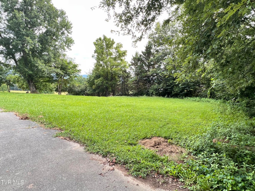 Photo #72: 90 Veldt Lane