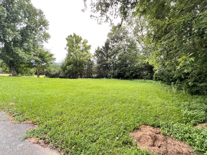 Photo #73: 90 Veldt Lane