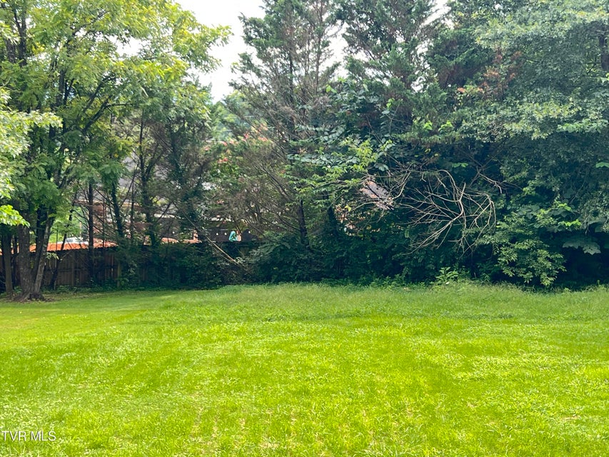 Photo #94: 90 Veldt Lane