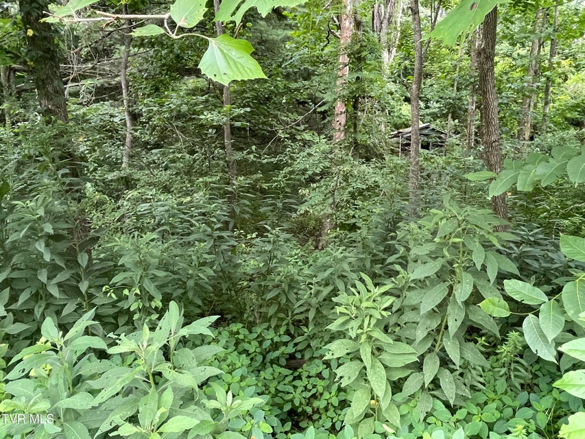 Photo #2: Tbd Drill Road