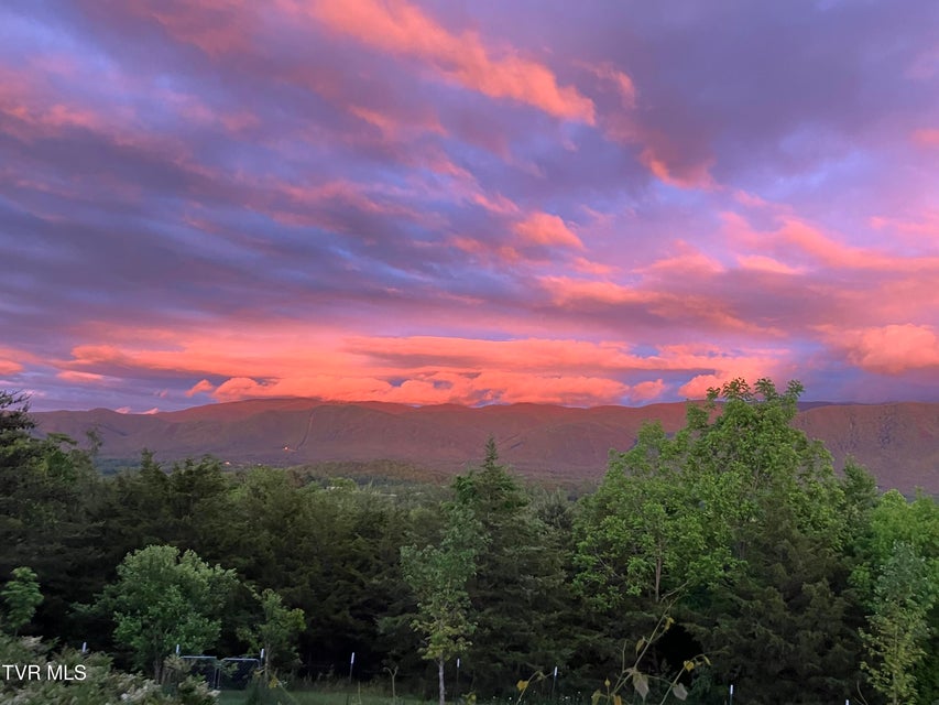 Photo #77: 456 Greystone Road
