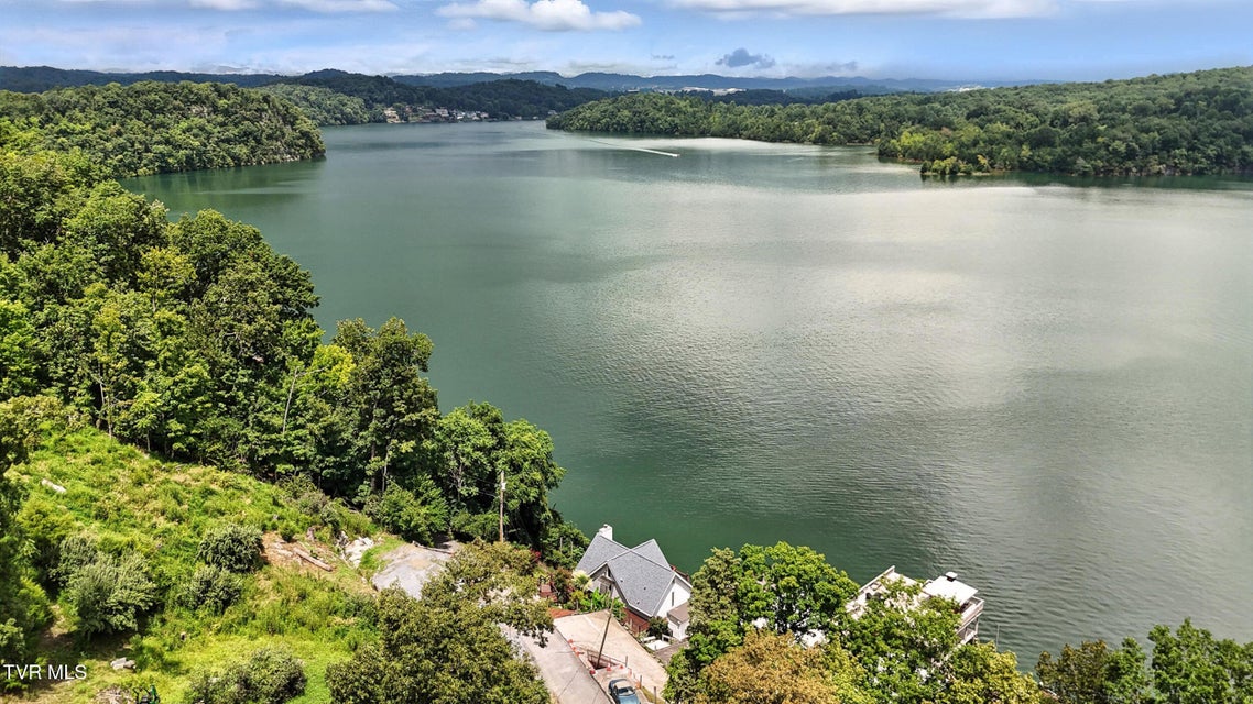 Photo #48: 136 Furches Drive