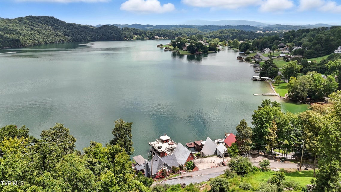 Photo #49: 136 Furches Drive