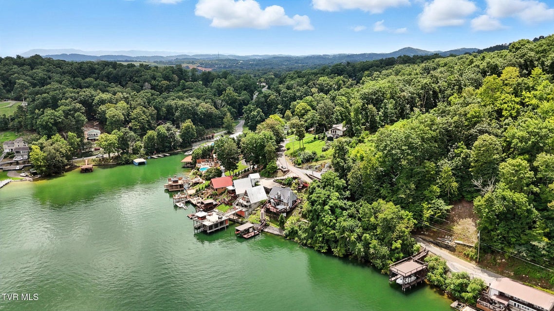 Photo #50: 136 Furches Drive