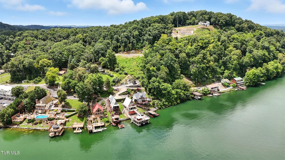 Photo #52: 136 Furches Drive