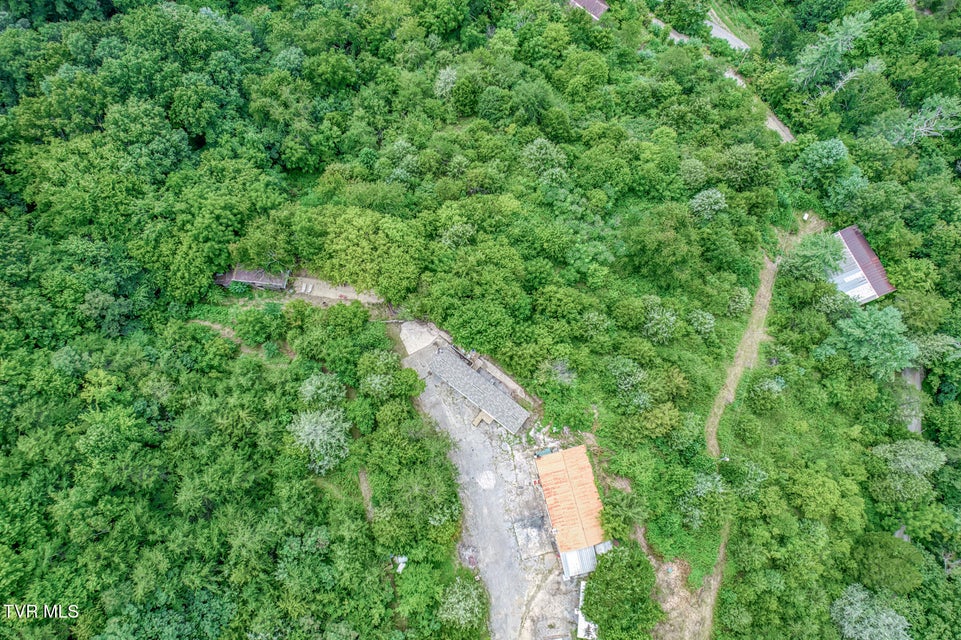 Photo #5: 176 Wade Bulla Road