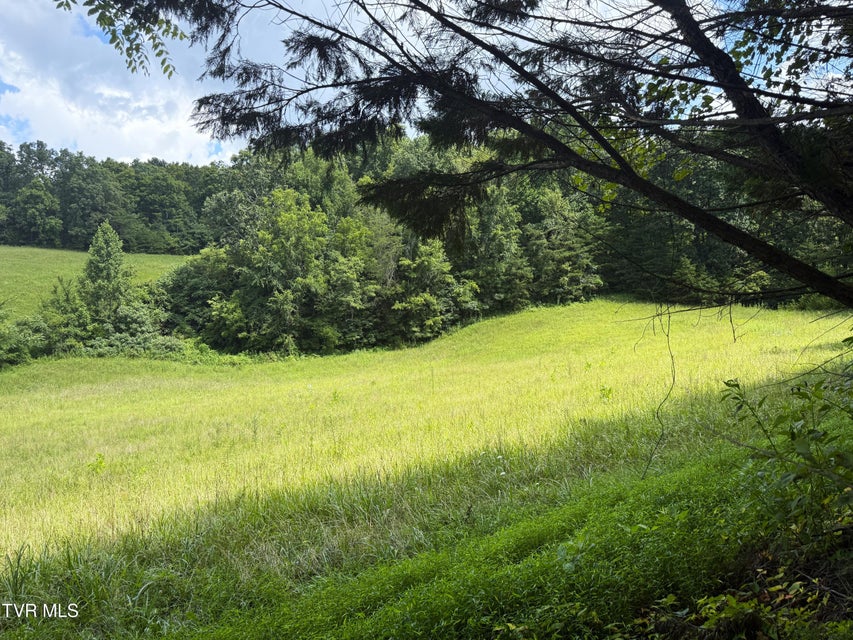Photo #2: 1461 Ponderosa Road