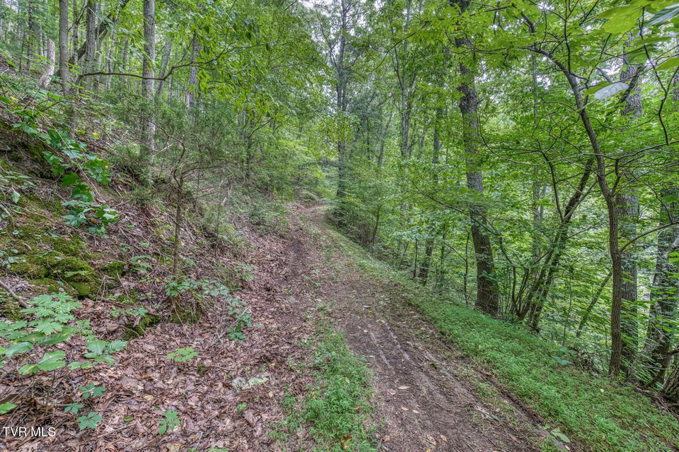 Photo #38: 176 Wade Bulla Road