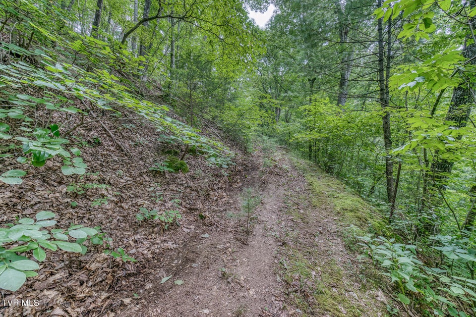 Photo #39: 176 Wade Bulla Road