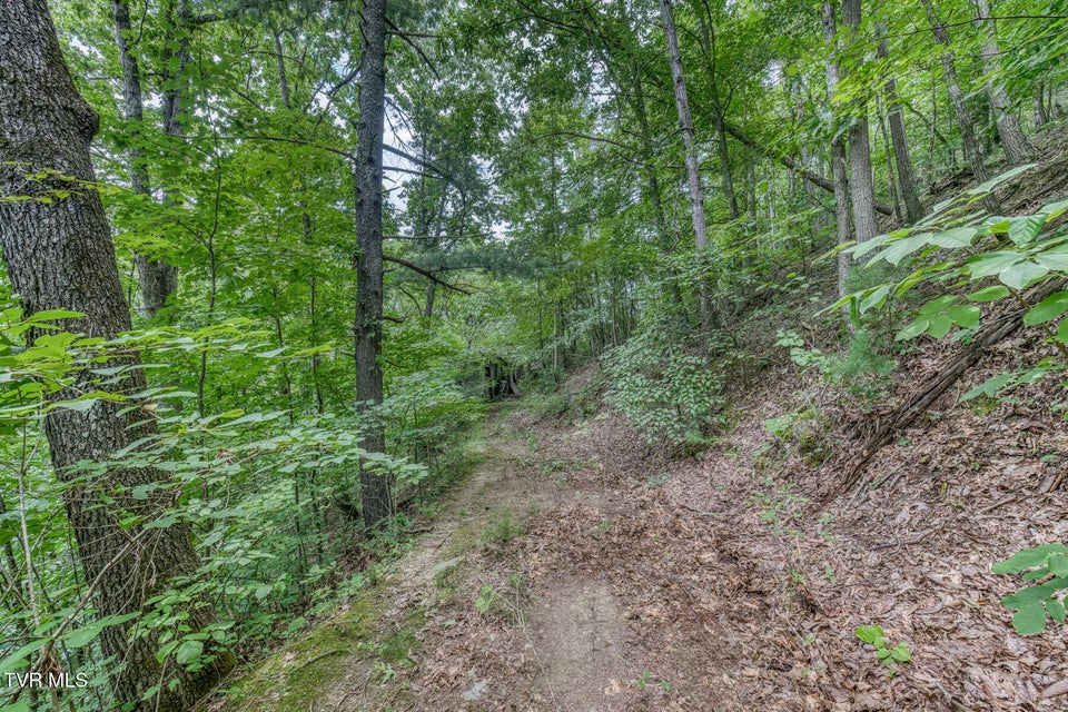 Photo #40: 176 Wade Bulla Road