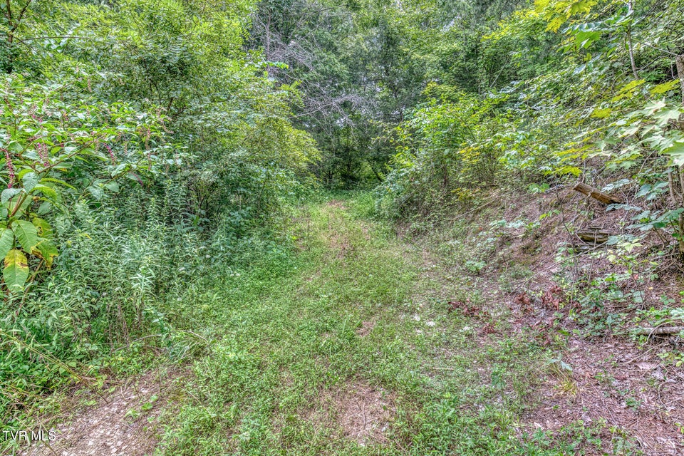 Photo #41: 176 Wade Bulla Road