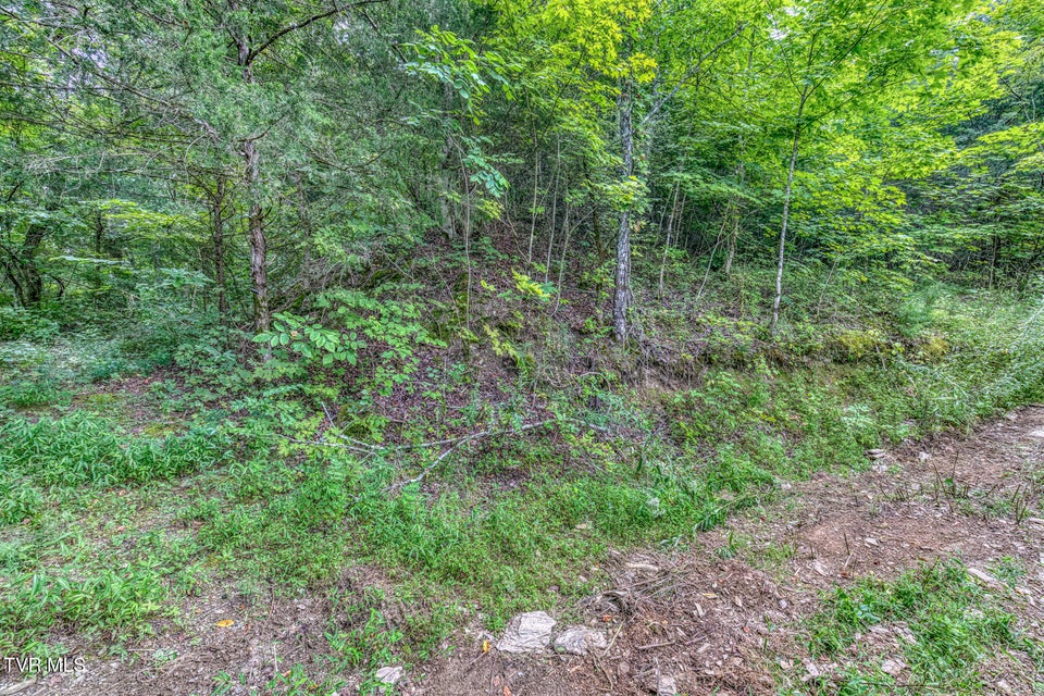 Photo #42: 176 Wade Bulla Road