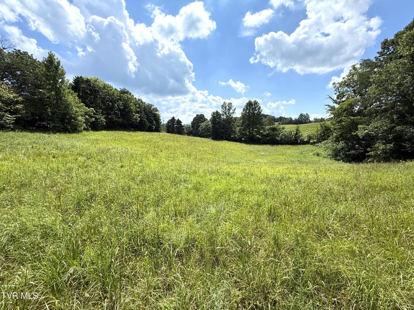 Photo #6: 1461 Ponderosa Road
