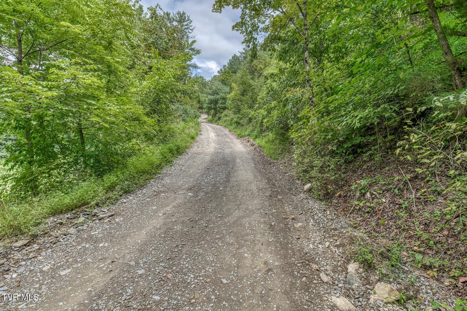 Photo #44: 176 Wade Bulla Road