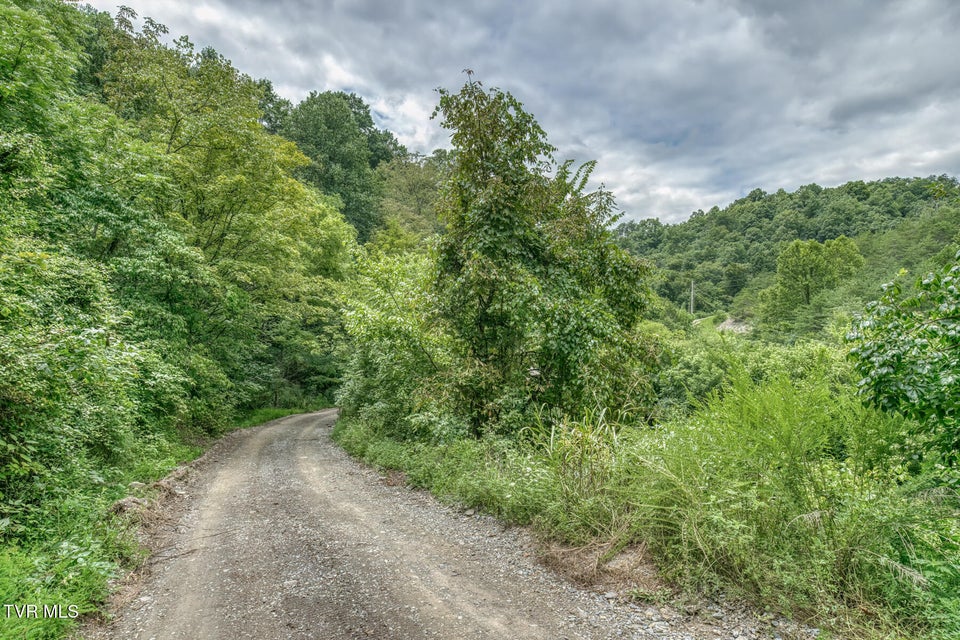 Photo #45: 176 Wade Bulla Road