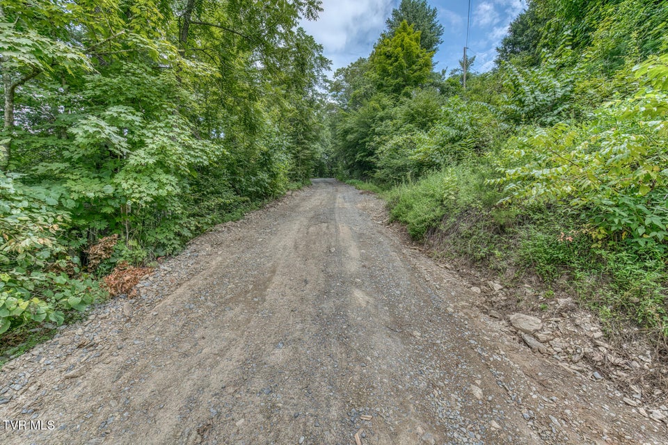 Photo #46: 176 Wade Bulla Road
