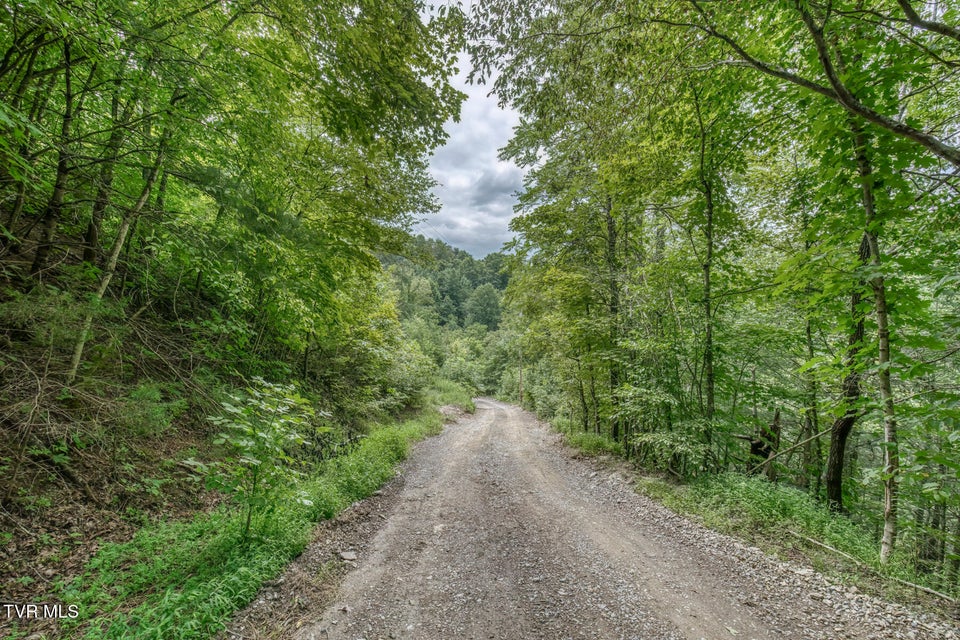 Photo #47: 176 Wade Bulla Road