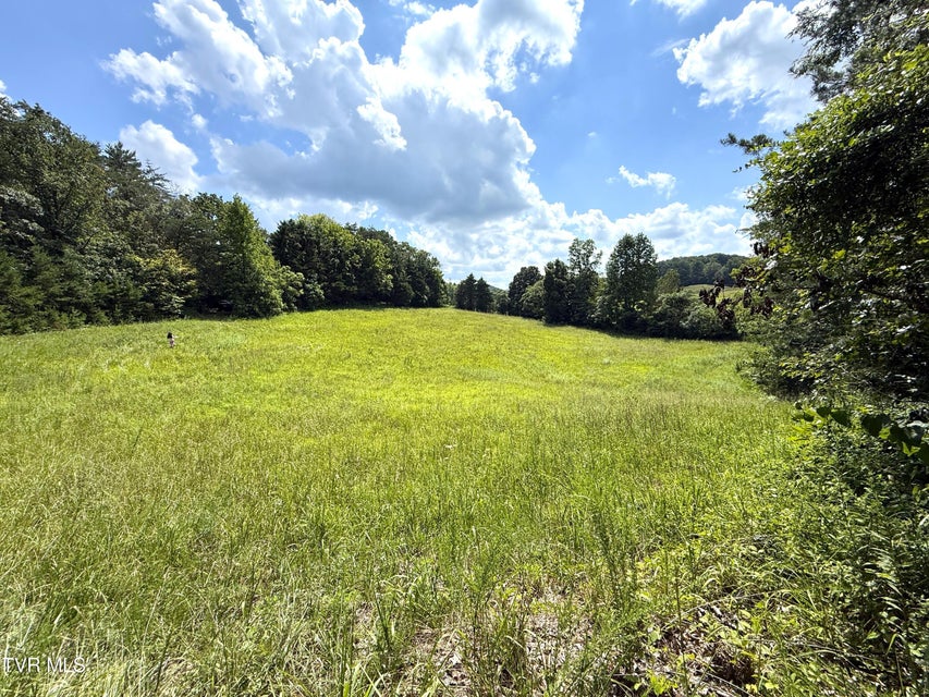 Photo #7: 1461 Ponderosa Road